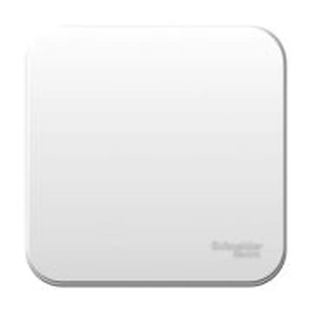Выключатель 1-кл. ОП Blanca 10А IP20 (сх. 1) 250В с металлич. пластиной бел. SE BLNVA101021